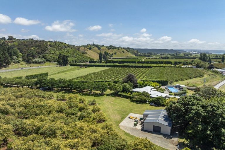 Photo of property in 790 Main Road North, Bay View, Napier, 4182