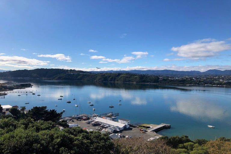 Photo of property in 69 Overtoun Terrace, Hataitai, Wellington, 6021