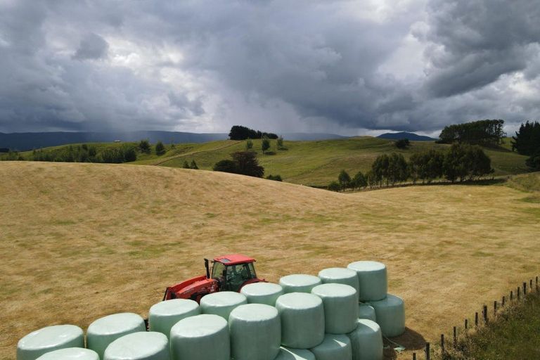 Photo of property in 183 Smith Road, Dannevirke, 4978