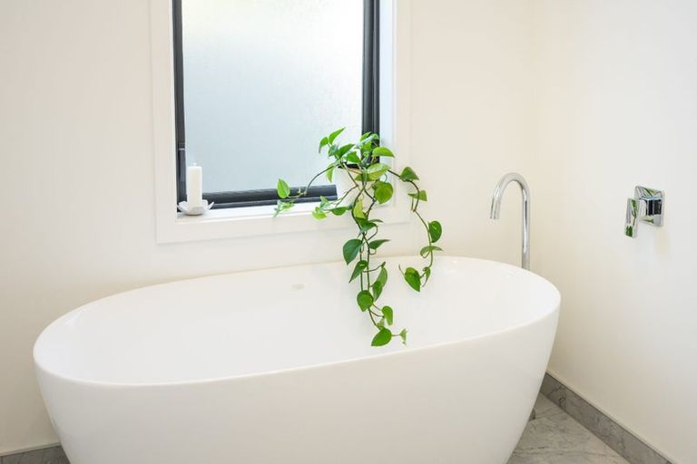 Photo of property in 18a East Street, Terrace End, Palmerston North, 4410