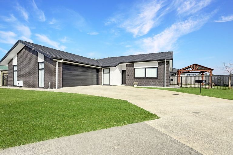 Photo of property in 79 Hinemoa Street, Levin, 5510