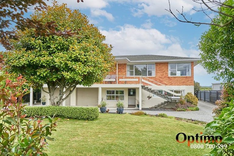 Photo of property in 115 Tiro Tiro Road, Levin, 5510