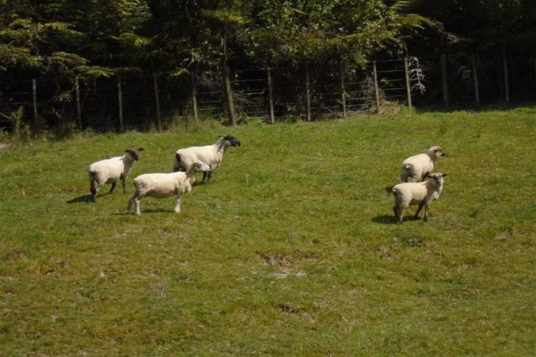 Photo of property in 43a Pinetone Road, Kumeu, 0892