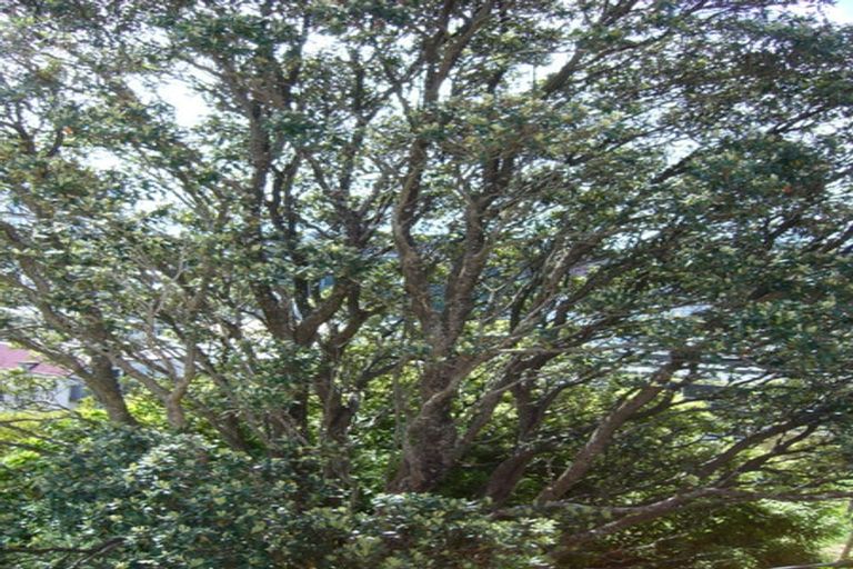 Photo of property in 54 Thompson Street, Mount Cook, Wellington, 6011