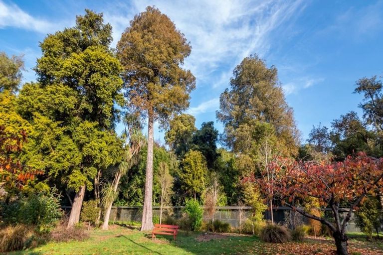 Photo of property in 20 Ngahere Street, Fendalton, Christchurch, 8041