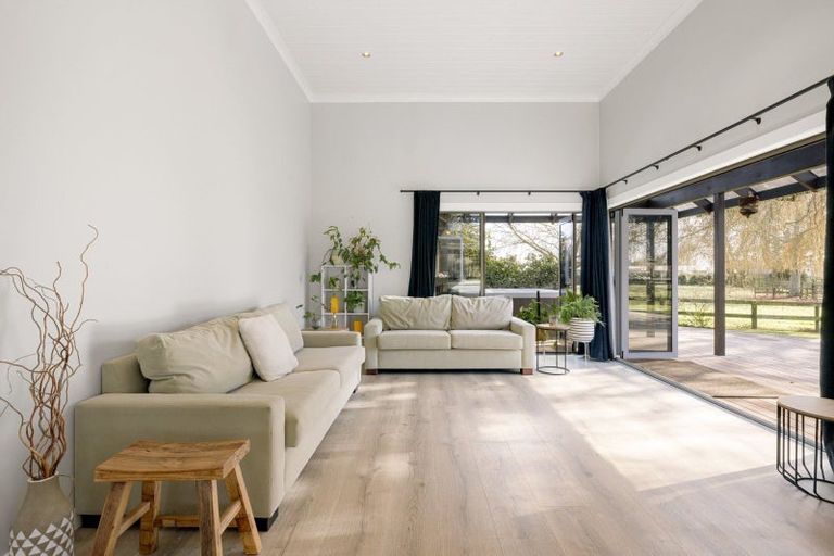 Photo of property in 31 Racecourse Road, Cambridge, 3493