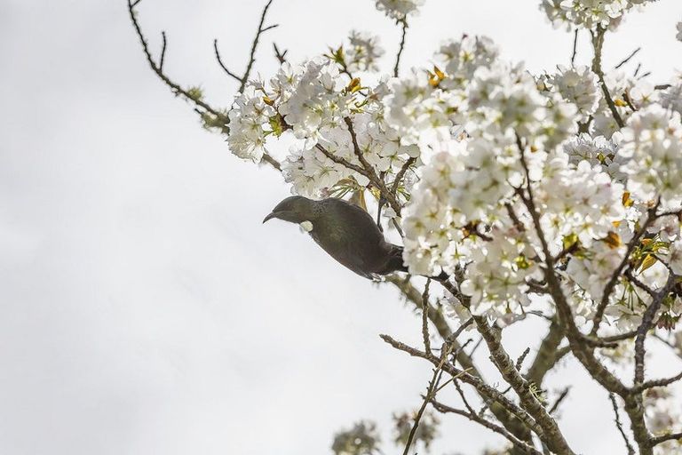 Photo of property in 61a Kahu Road, Paremata, Porirua, 5024