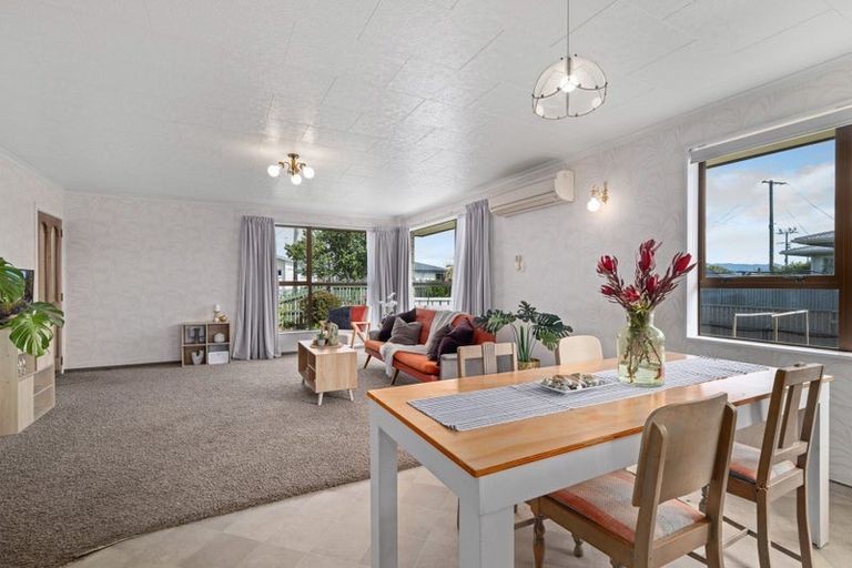Photo of property in 147a Howick Road, Witherlea, Blenheim, 7201