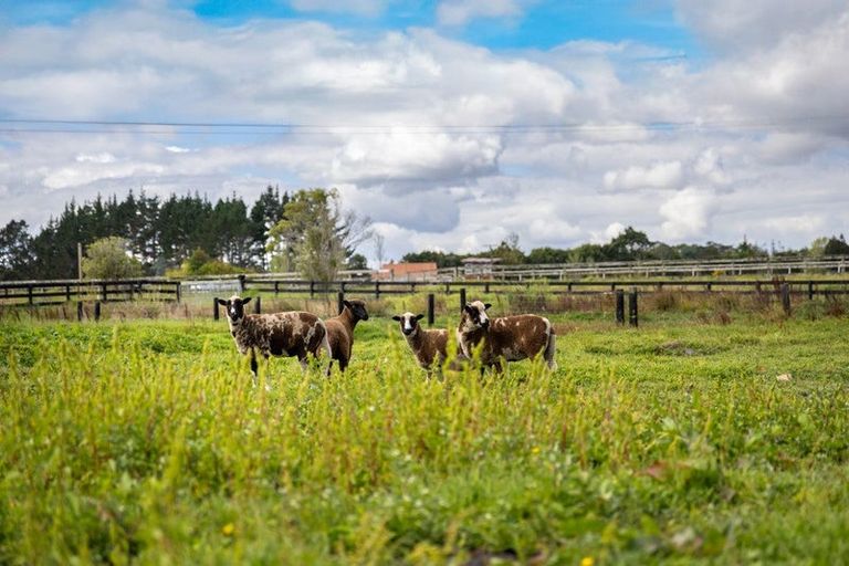 Photo of property in 15 Trotting Course Drive, Kumeu, 0891