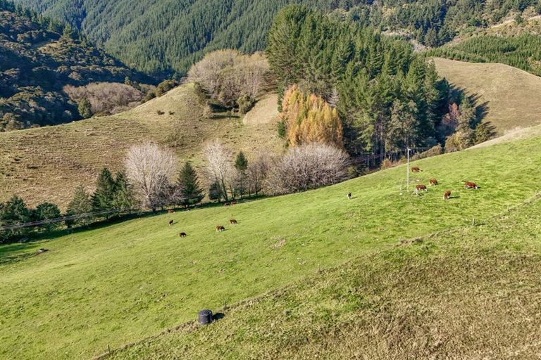 Photo of property in 2377 Motueka Valley Highway, Woodstock, Motueka, 7196