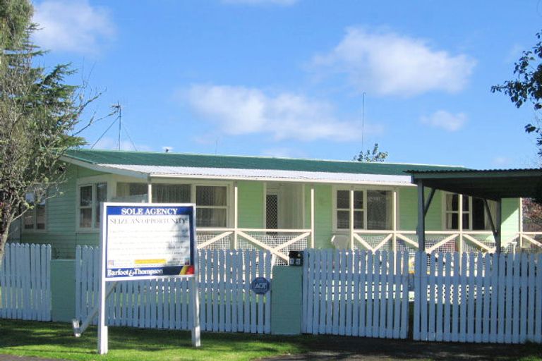 Photo of property in 19 Coburg Street, Henderson, Auckland, 0612
