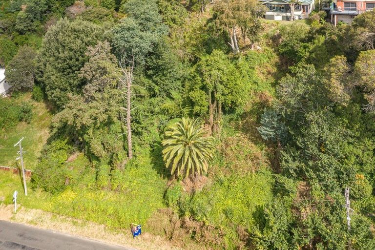 Photo of property in 56 Ikitara Road, Whanganui East, Wanganui, 4500