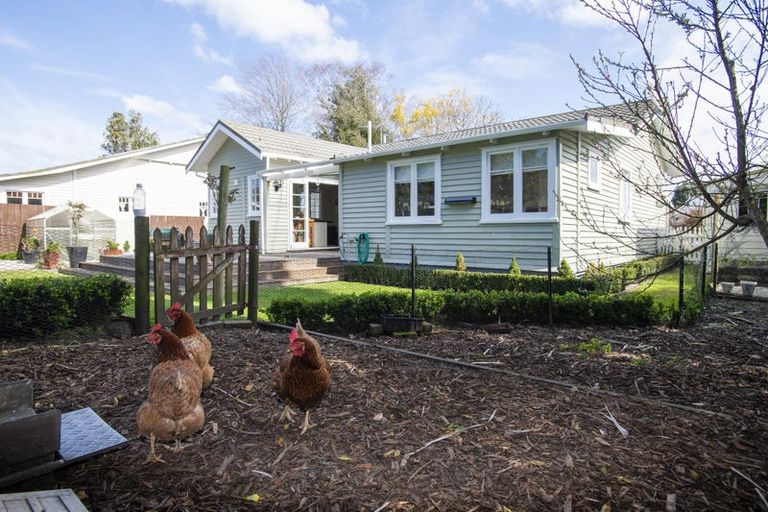 Photo of property in 165 Whitaker Street, Whataupoko, Gisborne, 4010