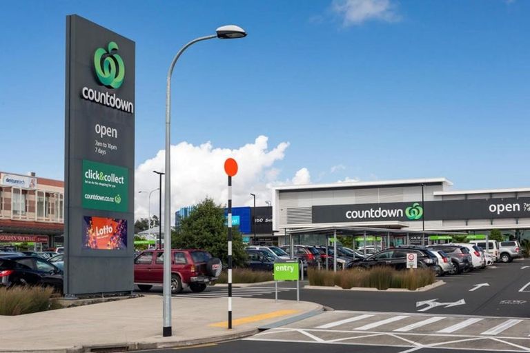 Photo of property in 22 Pukeko Road, Hobsonville, 0616