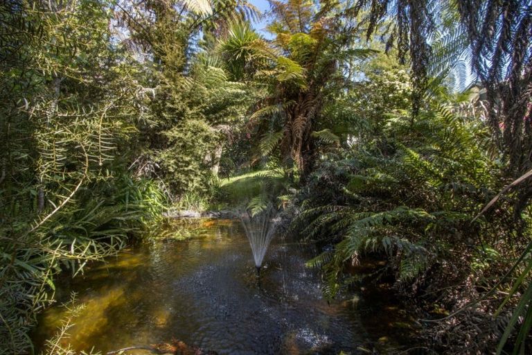 Photo of property in 100 Bradford Street, Waihi, 3610