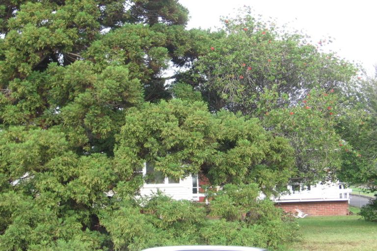 Photo of property in 41 Edmonton Road, Henderson, Auckland, 0612