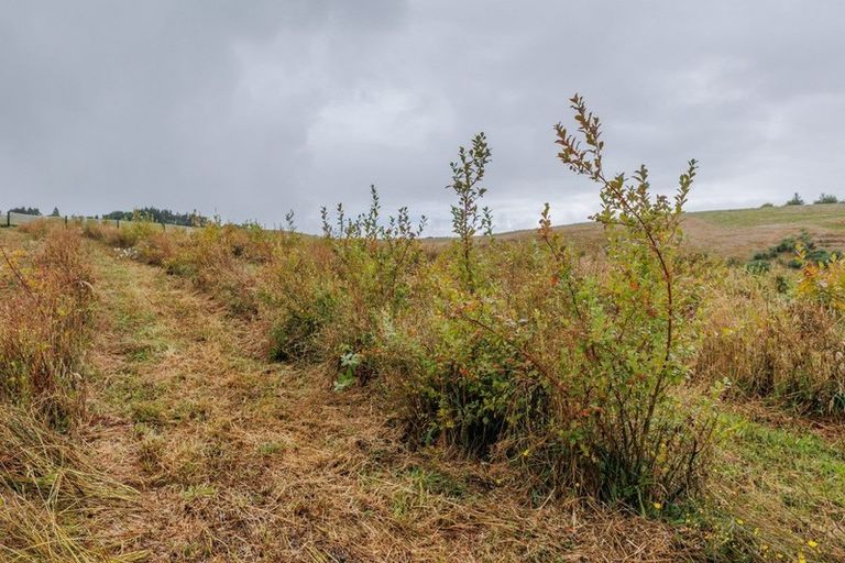 Photo of property in 836 Pungaere Road, Waipapa, Kerikeri, 0295
