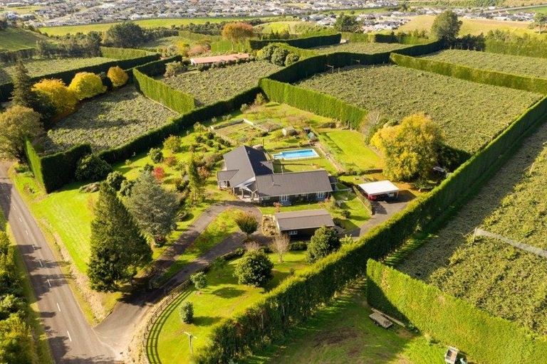 Photo of property in 202 Keenan Road, Pyes Pa, Tauranga, 3173