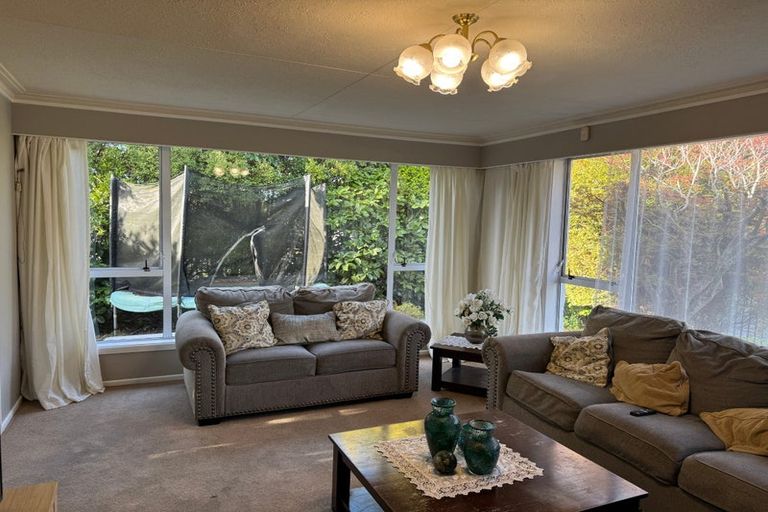 Photo of property in 197 Lamond Street, Hargest, Invercargill, 9810