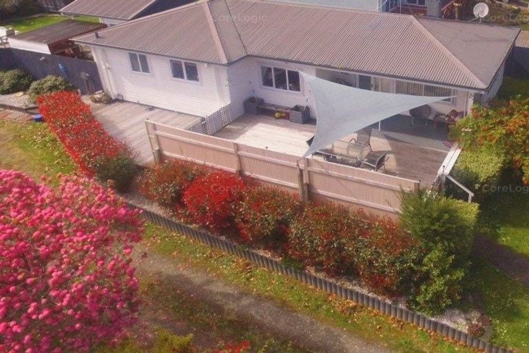 Photo of property in 113 Buckland Street, Putaruru, 3411