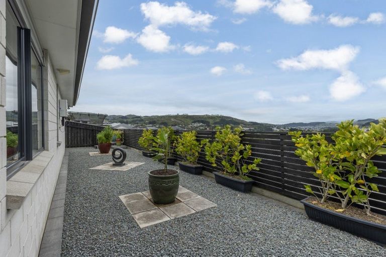 Photo of property in 118 John Burke Drive, Aotea, Porirua, 5024