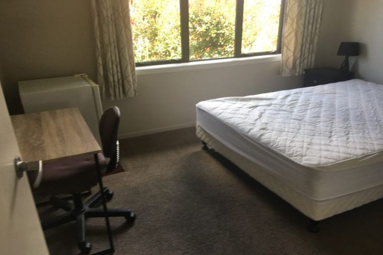 Photo of property in 27u1 Hogan Street, Hamilton East, Hamilton, 3216