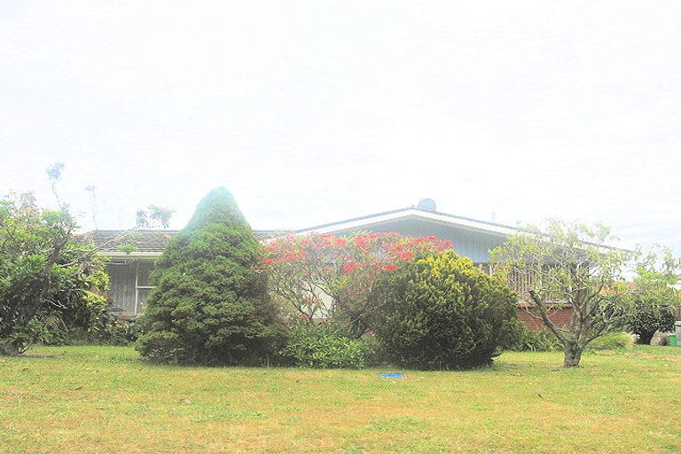 Photo of property in 61 Queen Street, Te Puke, 3119