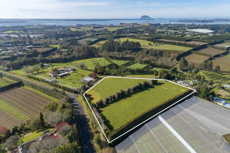Photo of property in 198b Snodgrass Road, Te Puna, Whakamarama, 3174