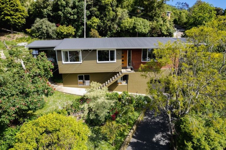 Photo of property in 8 Every Street, Andersons Bay, Dunedin, 9013