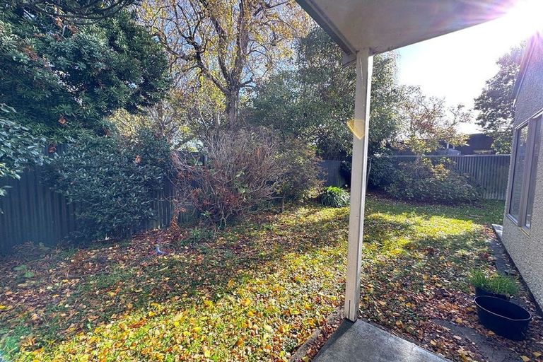 Photo of property in 39a Saint Albans Avenue, Hokowhitu, Palmerston North, 4410