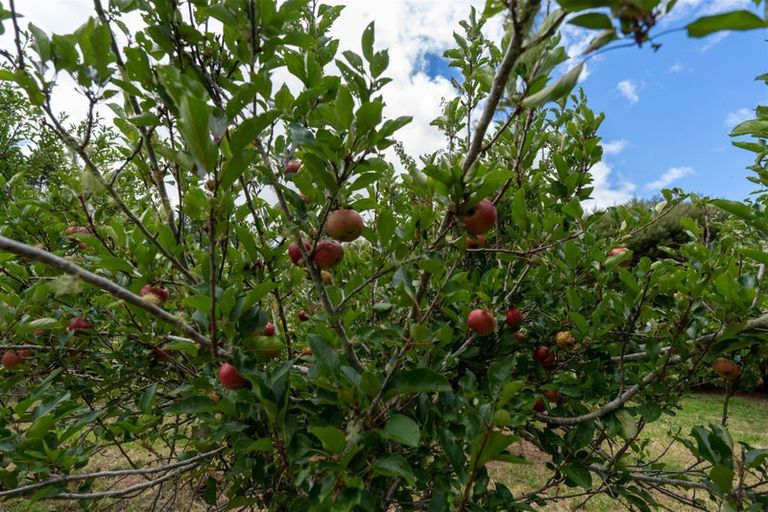 Photo of property in 3687 State Highway 12, Taheke, Kaikohe, 0473