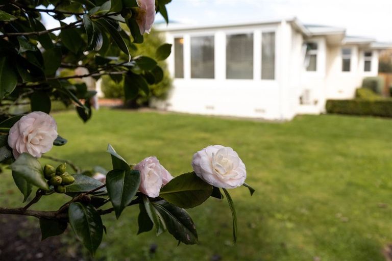 Photo of property in 63 George Street, Blenheim, 7201