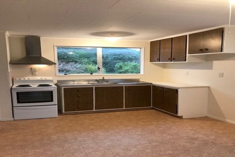 Photo of property in 230a Mitchell Street, Brooklyn, Wellington, 6021