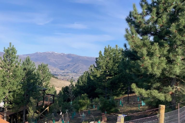 Photo of property in 259 Heaney Road, Cromwell, 9384