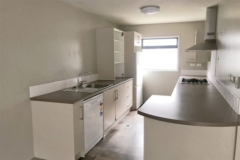 Photo of property in 13b Greensboro Street, Hamilton East, Hamilton, 3216