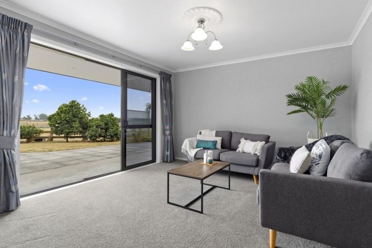 Photo of property in 17b Marshmeadow Road, Newstead, Hamilton, 3286