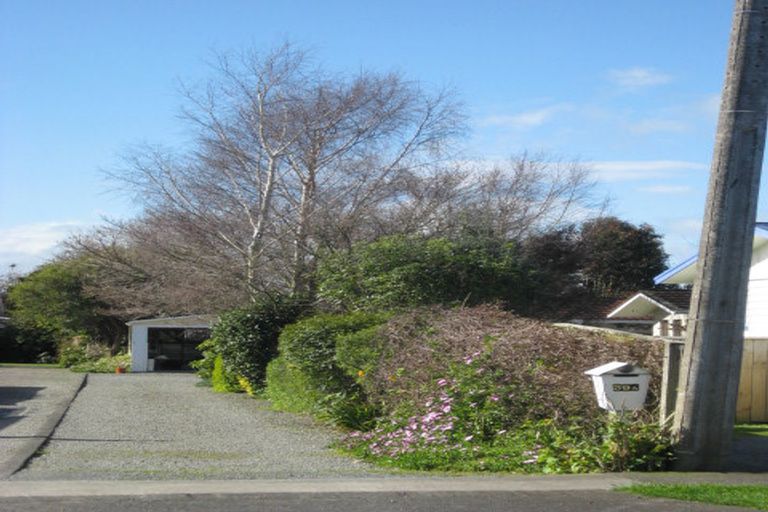 Photo of property in 39a Macarthur Street, Levin, 5510