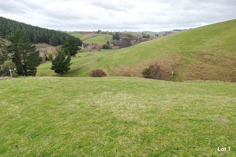 Photo of property in 65 Gabriels Gully Road, Lawrence, 9593