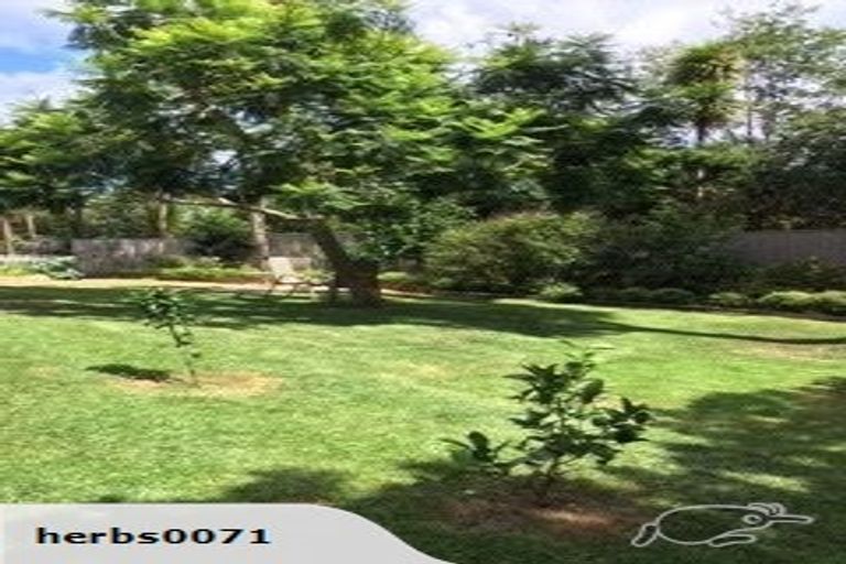 Photo of property in 5 Grovelands Way, Titirangi, Auckland, 0604