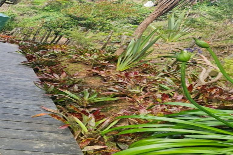 Photo of property in 7 Potter Street, Kohukohu, 0491