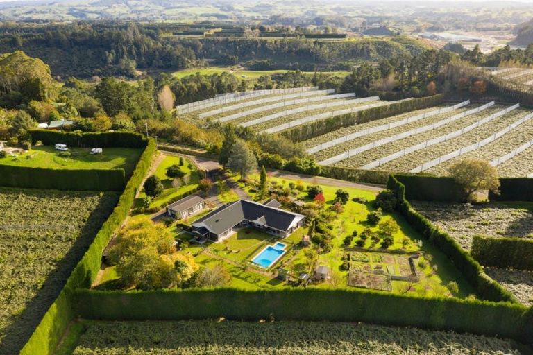 Photo of property in 202 Keenan Road, Pyes Pa, Tauranga, 3173