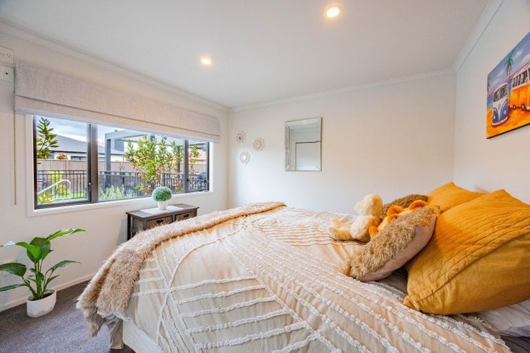 Photo of property in 12 Inglis Place, Mahora, Hastings, 4120