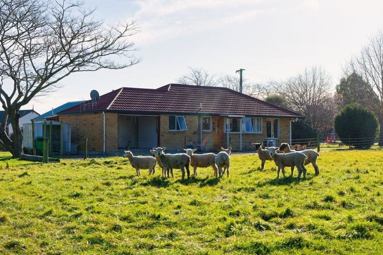 Photo of property in 8 Reeves Street, Cheviot, 7310