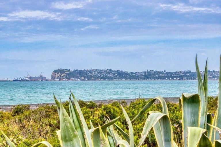 Photo of property in 1/382 Main Road North, Bay View, Napier, 4104