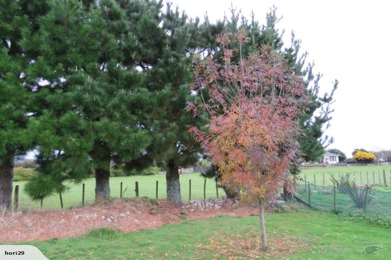 Photo of property in 100 Pohutukawa Drive, Levin, 5571
