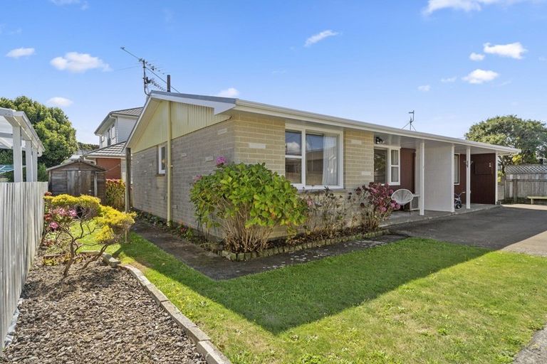 Photo of property in 123a Hobart Street, Miramar, Wellington, 6022