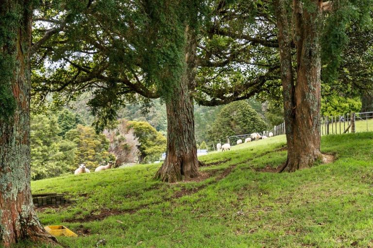 Photo of property in 68 Smithville Road, Te Kamo, Kamo, 0185