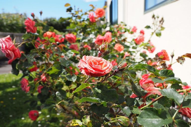 Photo of property in 9 Graven Court, Henderson, Auckland, 0612