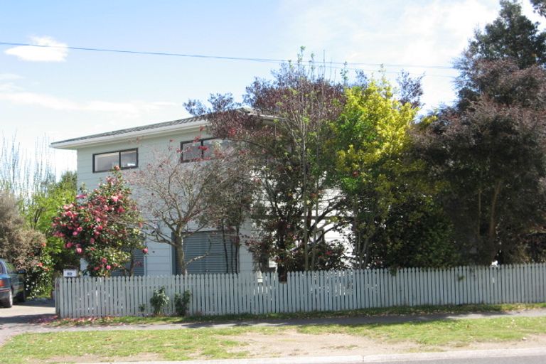 Photo of property in 52 Pihanga Street, Taupo, 3330