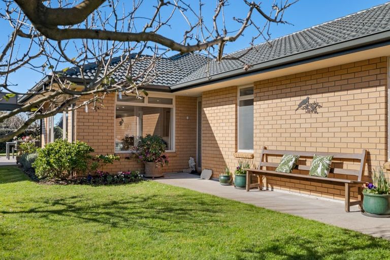 Photo of property in 19 Clydesburn Avenue, Te Puke, 3119